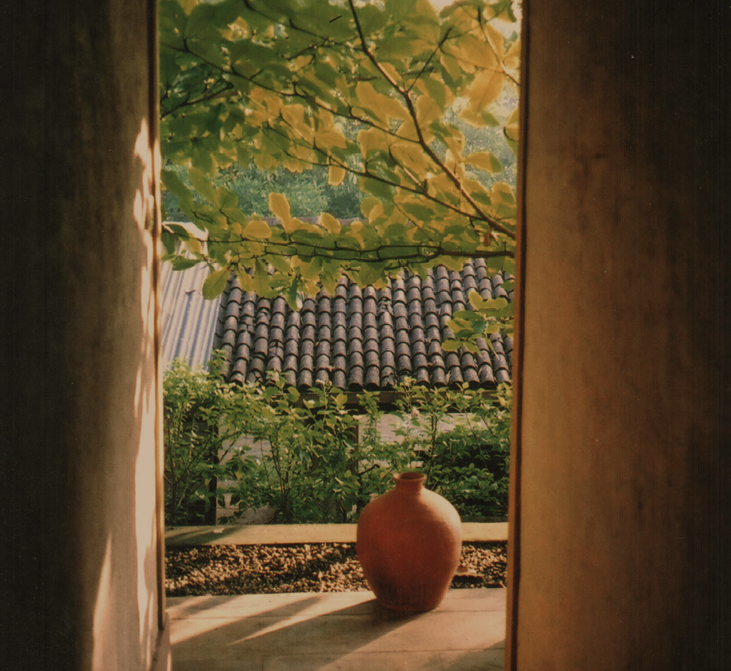 Home 01_New_2